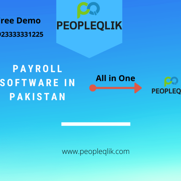 How Companies Can Increase Productivity With Payroll Software In Pakistan?