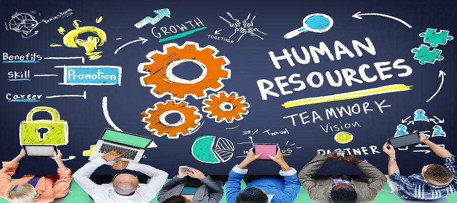 HR Software in